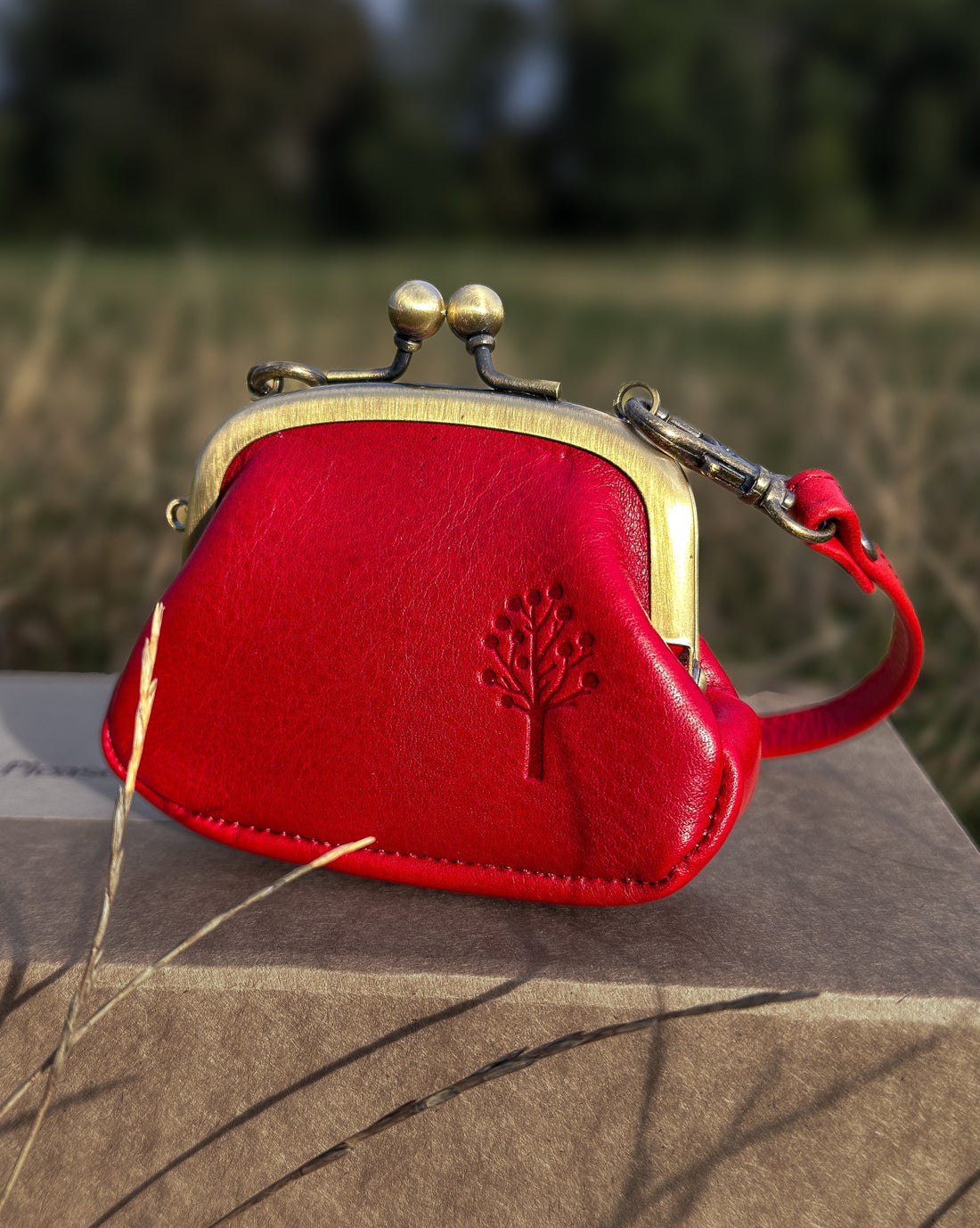 Deep red Japanese leather clasp pouch with a brass frame and an embossed tree, resting on a stone ledge outdoors.