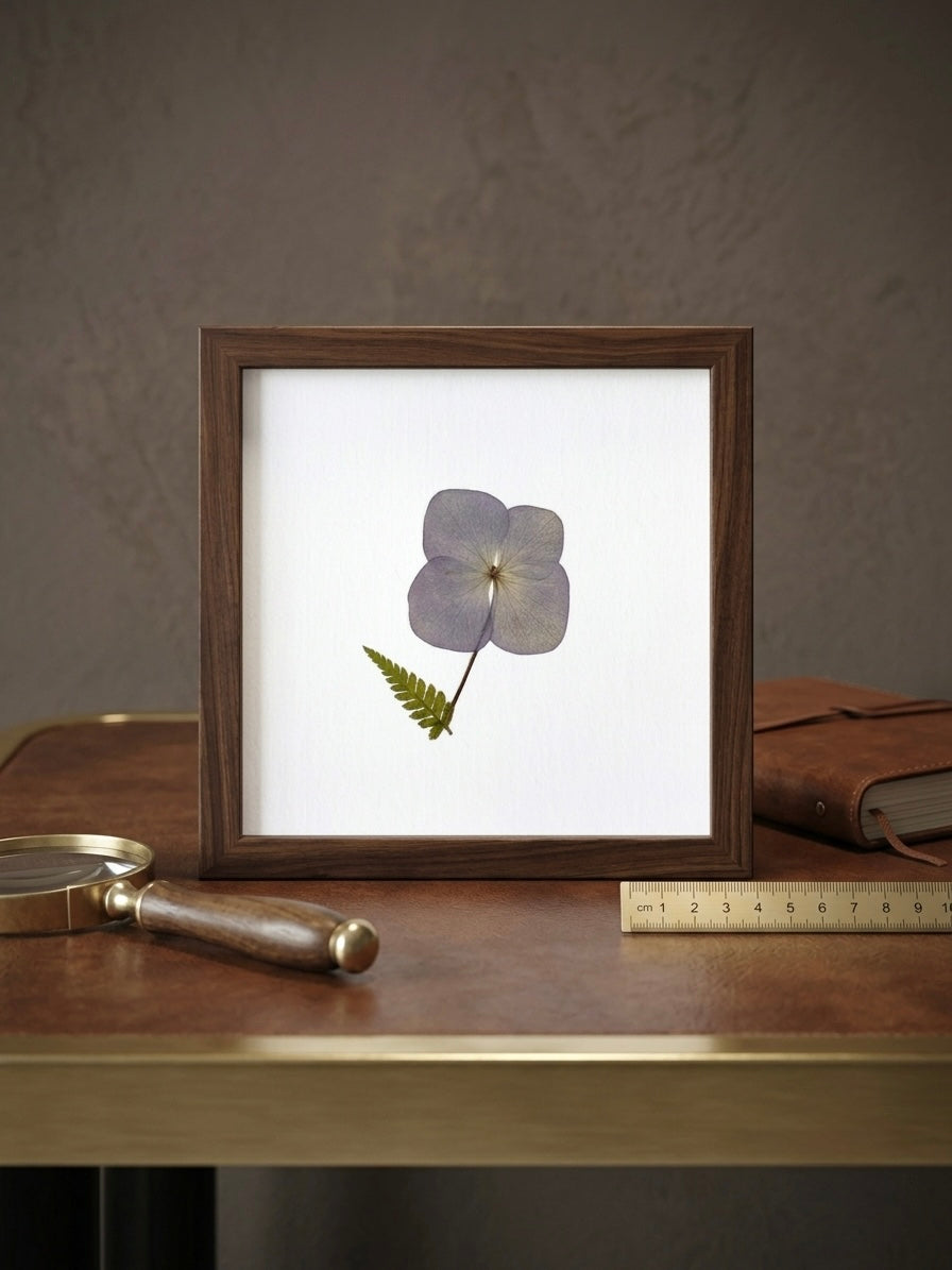 A square art print or card featuring a single purple beautiful pressed flower with a green fern leaf on a white background, surrounded by a textured brown border, shown against a light beige wall inside a premium frame.