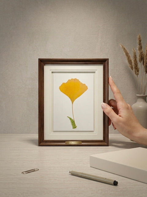 A framed botanical art print featuring a yellow ginkgo leaf and a green fern on a white background, held by a person's hand on a light wood desk with a pen, paperclip, and vase in the background. inside a brown premium frame