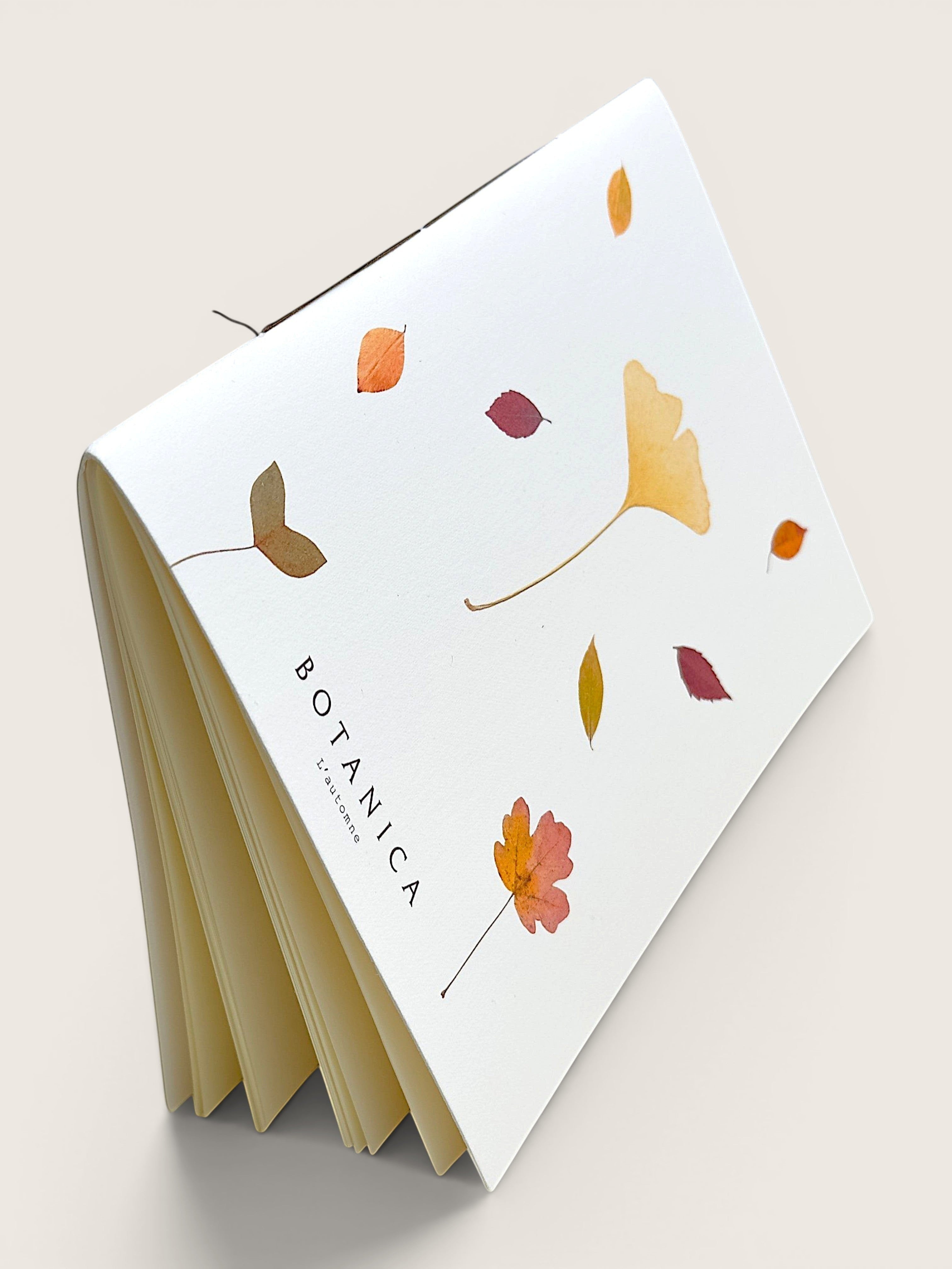 A white Botanica Calypso notebook shown open at an angle, featuring a white cover decorated with watercolor autumn leaves in shades of orange, yellow, and brown, and cream-colored pages visible on the left side.