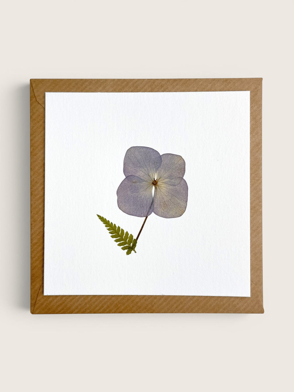 A square art print or card featuring a single pressed flower with a green fern leaf on a white background, surrounded by a textured brown border, shown against a light beige wall.