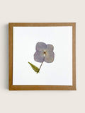 A square art print or card featuring a single pressed flower with a green fern leaf on a white background, surrounded by a textured brown border, shown against a light beige wall.