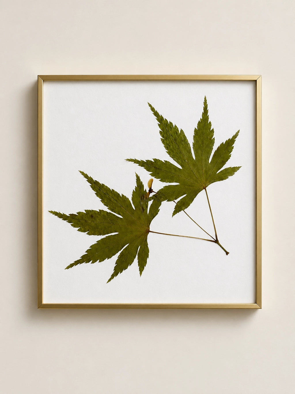 Framed botanical wall art featuring two pressed green maple leaves on a white background, enclosed in a thin gold frame and mounted on a light beige wall.