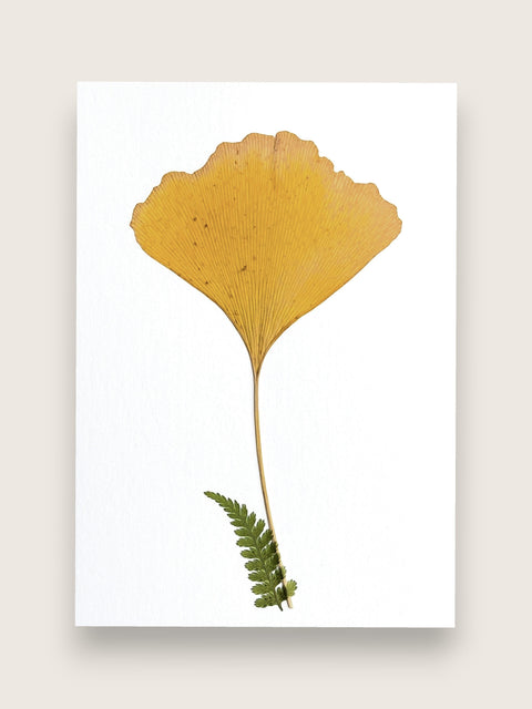 A botanical art print featuring a single golden-yellow ginkgo leaf with a small green fern sprig at the stem's base, displayed on a clean white background with a subtle drop shadow.