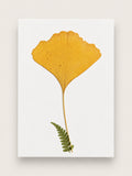 A botanical art print featuring a pressed golden-yellow ginkgo leaf and a small green fern on a white rectangular card, displayed against a light beige background. handmade in france, A6 greeting card and ready to frame